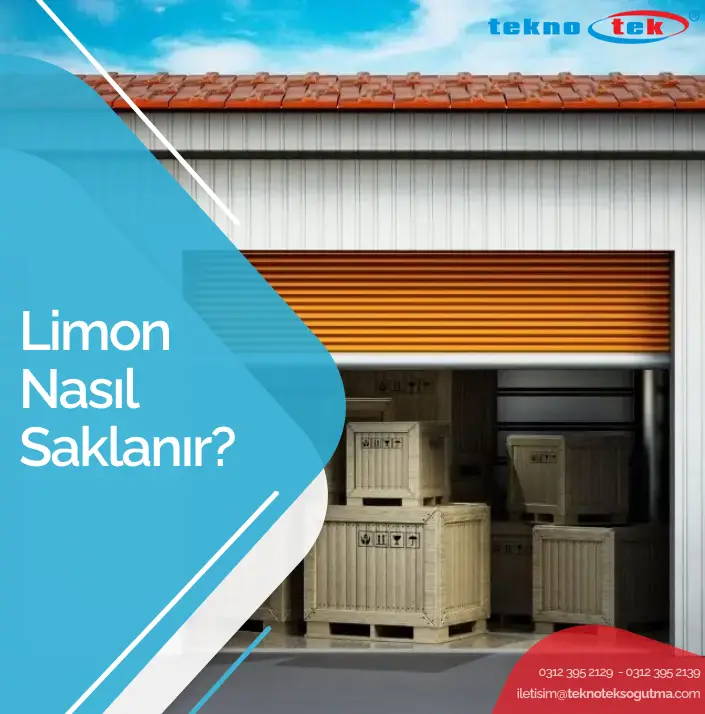 Limon Nasıl Saklanır