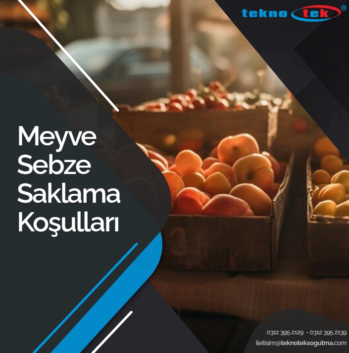 Meyve Sebze Saklama Koşulları