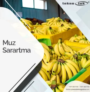 Muz Sarartma