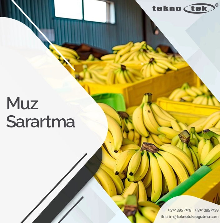 Muz Sarartma